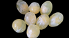 Collagen egg soap